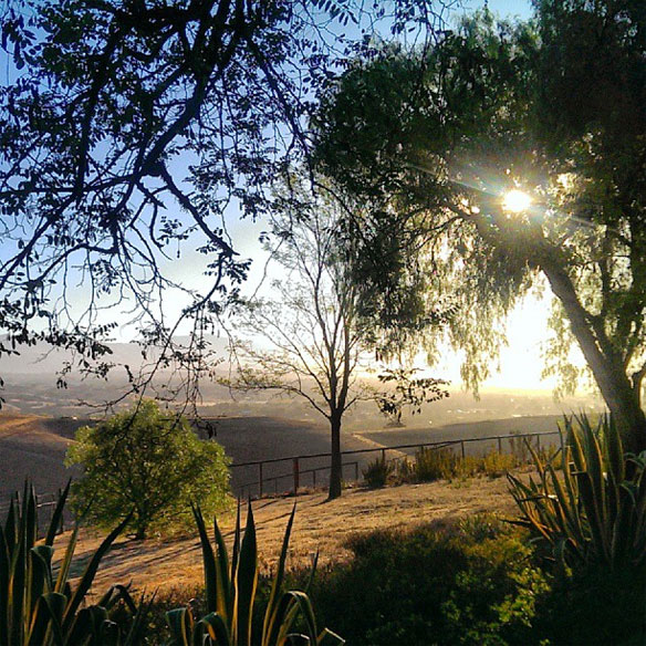 Kelly Golightly's Guide To Los Olivos Kelly Golightly