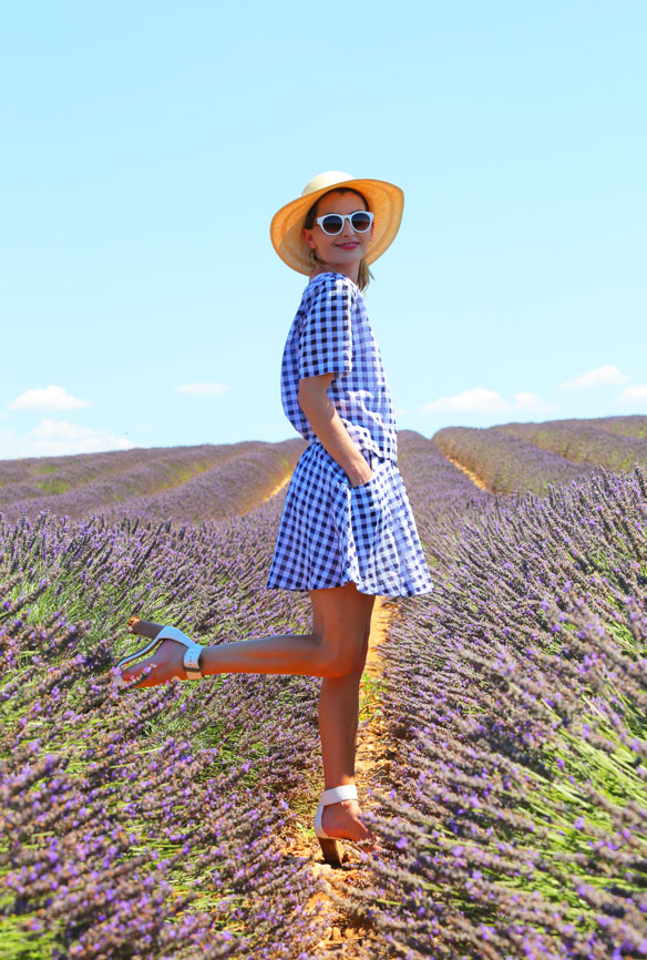 Lavender Fields in Provence: Where & When To See Them