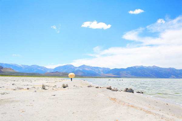 Does AIP Work My Hashimoto s Health Update Mono Lake 