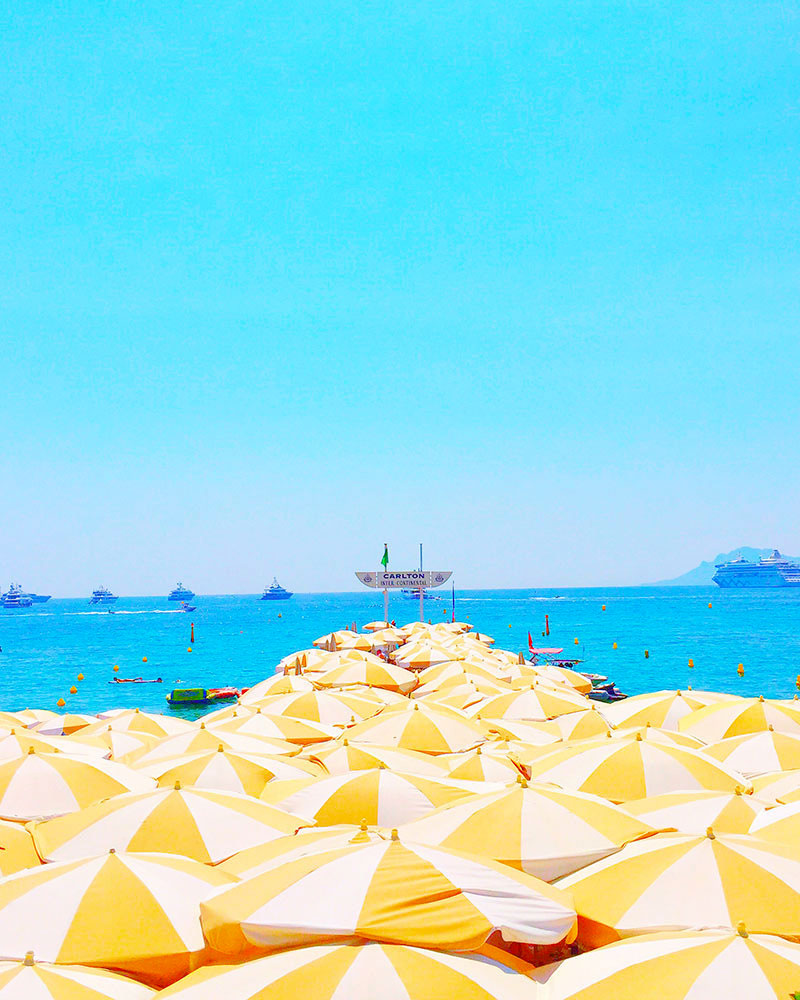 yellow and white Umbrellas of Cannes 