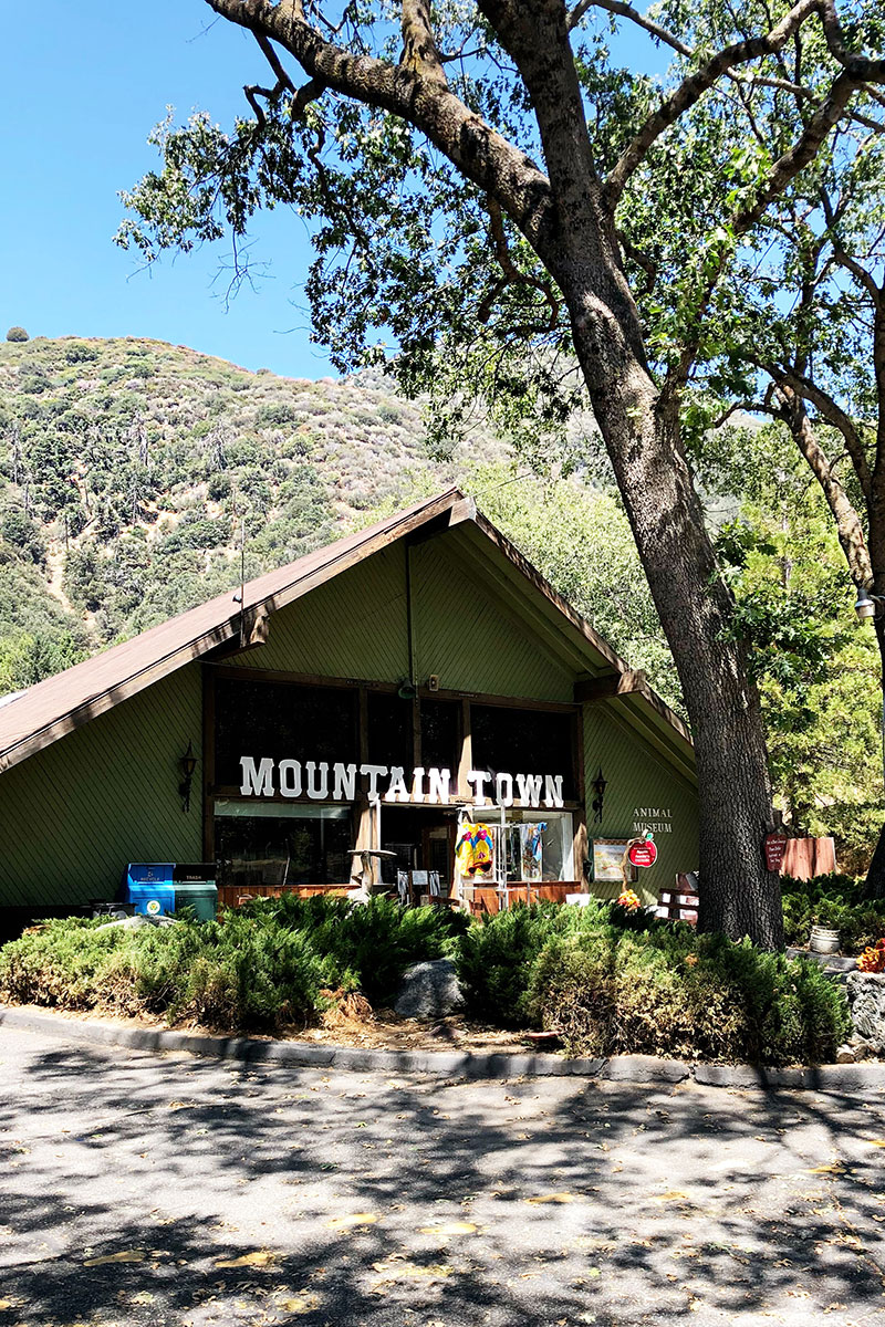 Mountain Town Animal Museum, CA 