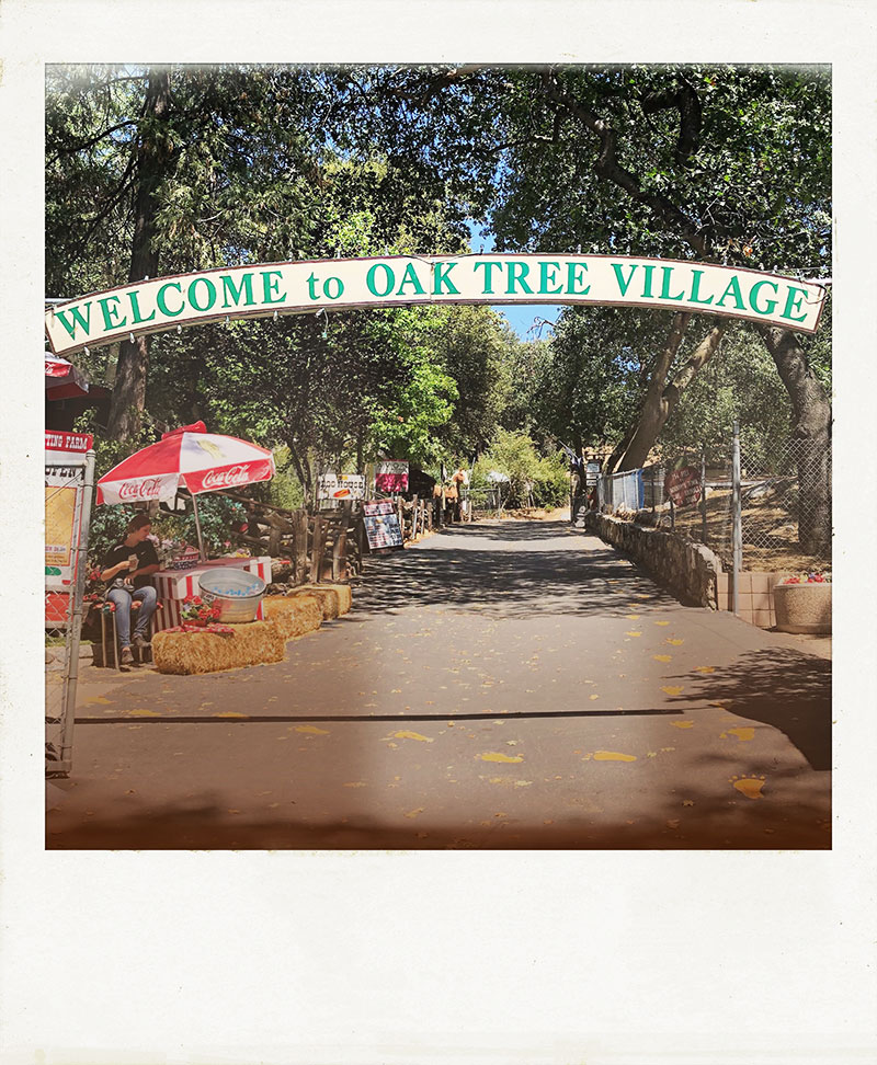 Oak Tree Village 