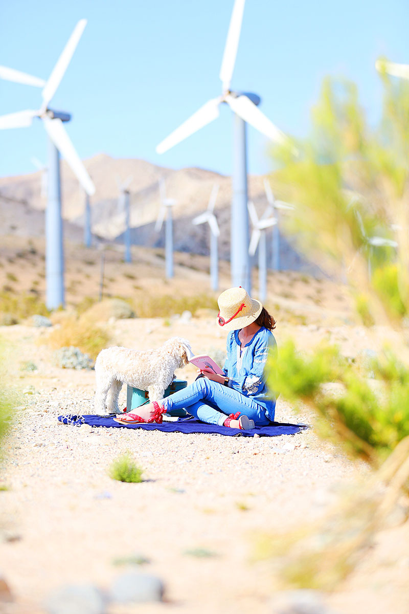 woman reading the book under the sun with her dog 