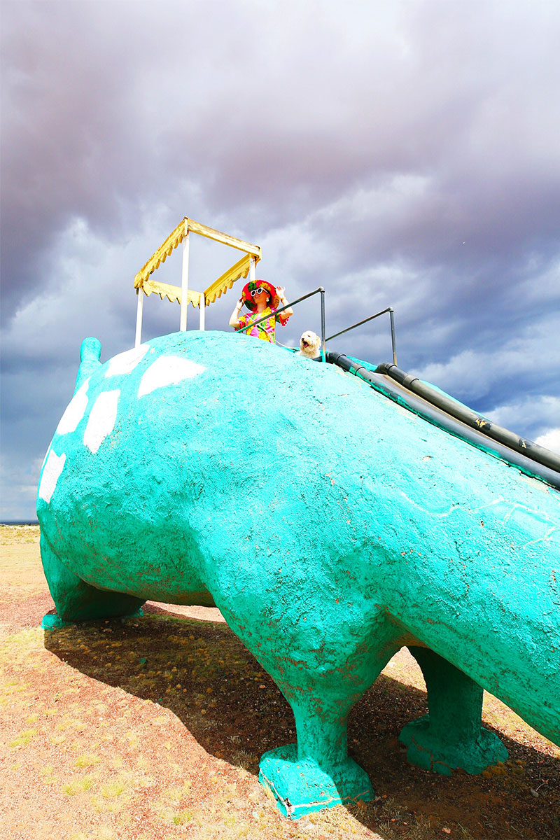 woman in a dinosaur slide with her dog