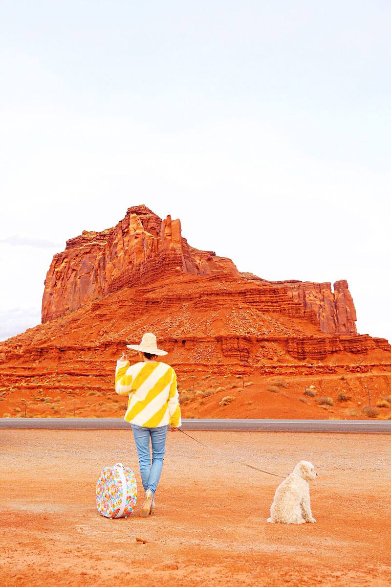 woman and her dog in Monument Valley Girl roadside