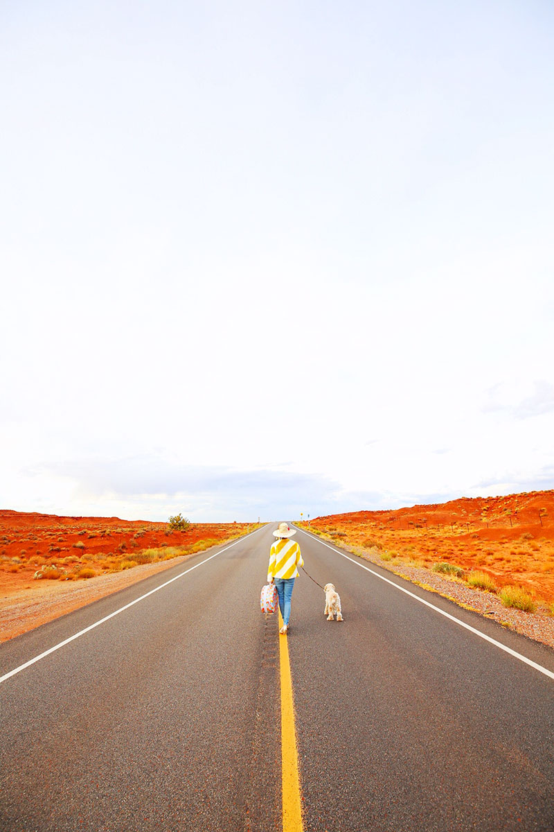 woman and dog on the road