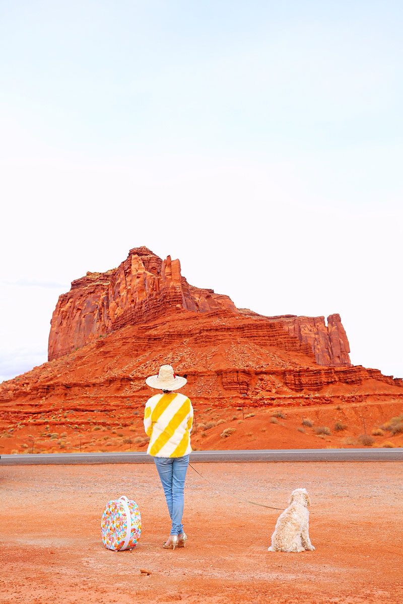 woman and her dog in Monument Valley Girl roadside