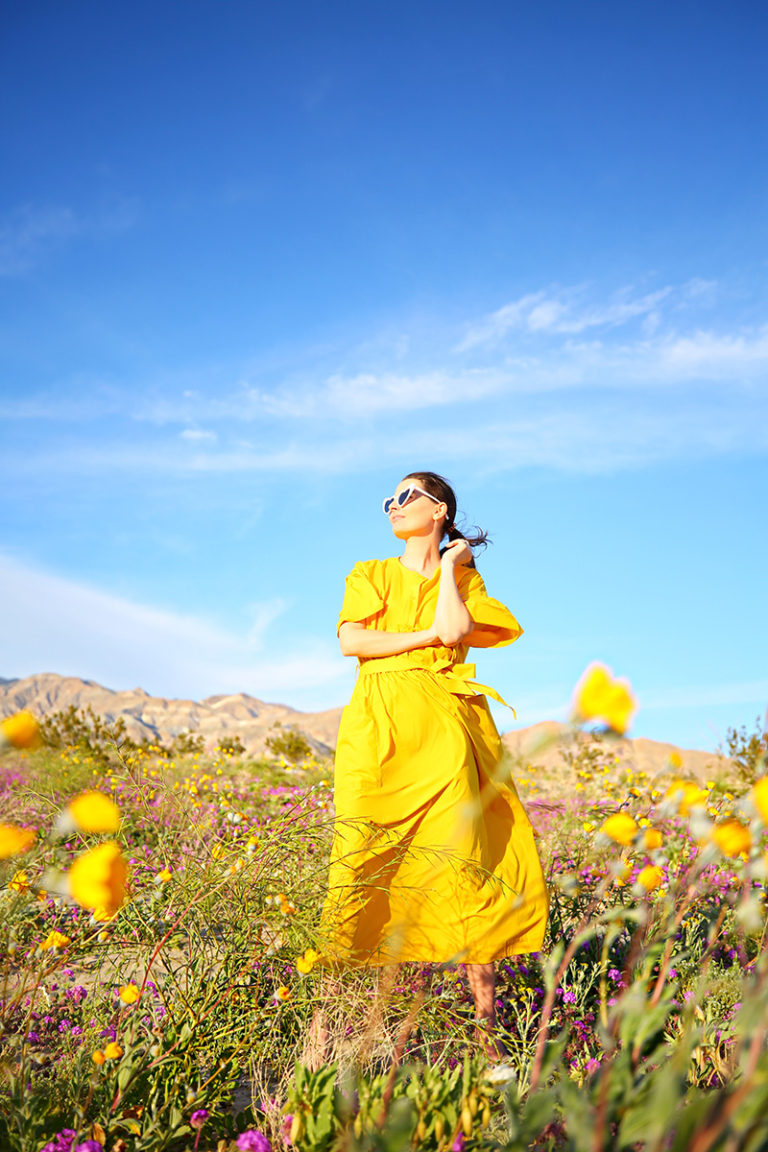 WHERE TO SEE THE SUPER BLOOM IN SOUTHERN CALIFORNIA
