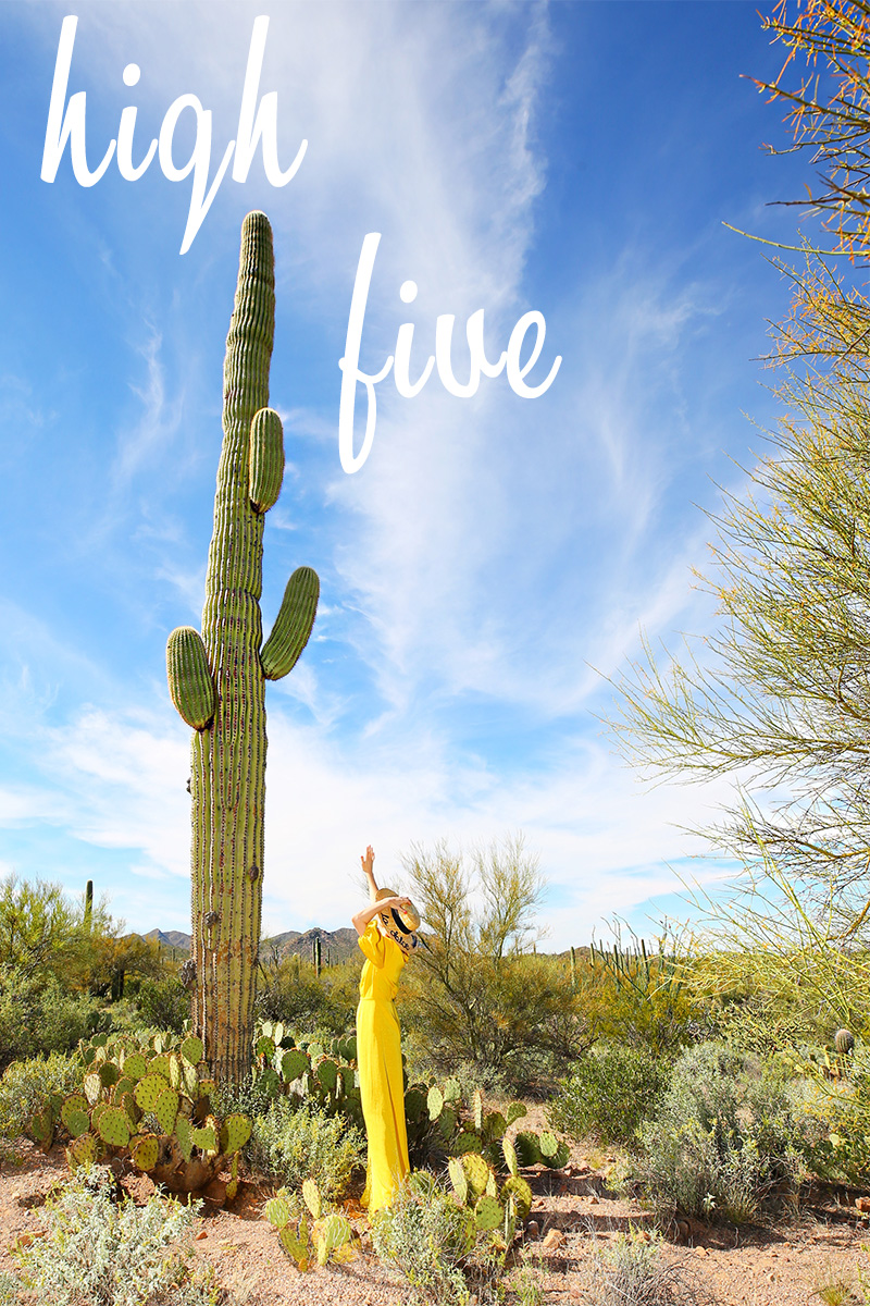 Saguaro in Arizona + 10 Things I’m Loving